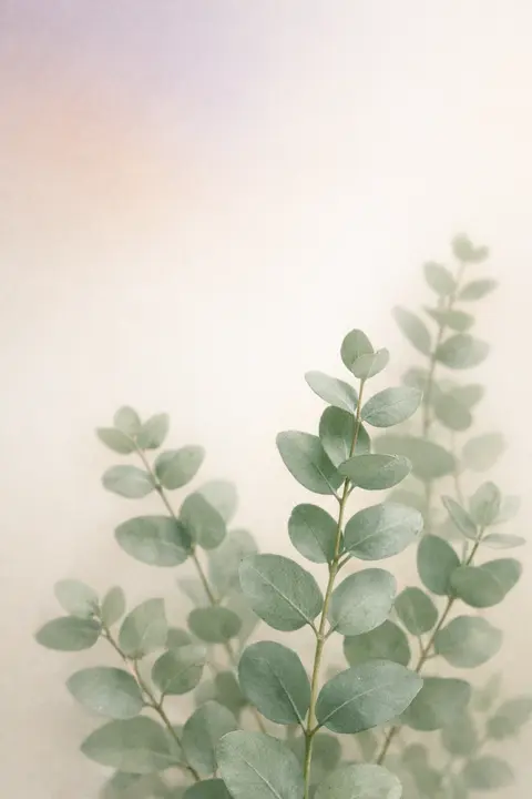 Aesthetic sage green wallpaper with soft focus eucalyptus sprigs on warm off white