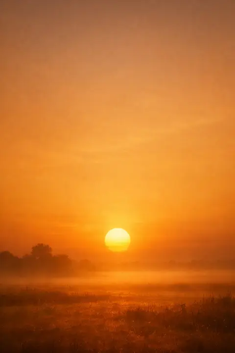 Golden hour wallpaper with warm honey haze and a soft sun disc behind light mist