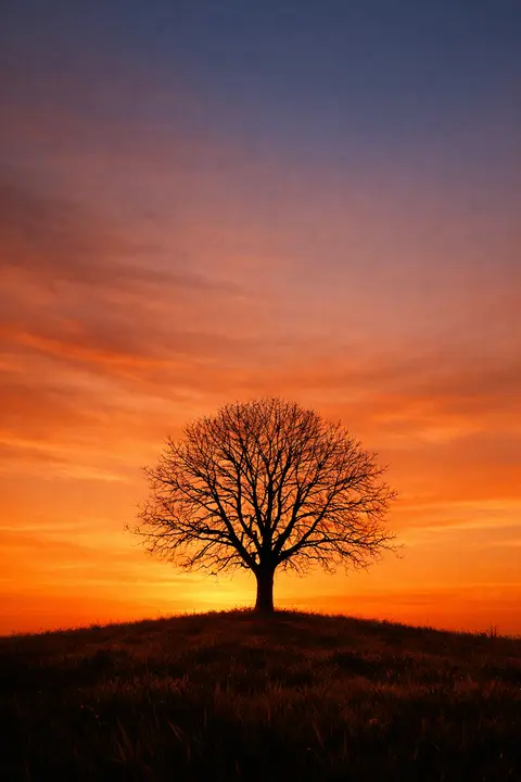 Sunset wallpaper with one bare tree in black silhouette on a hill against an amber sky